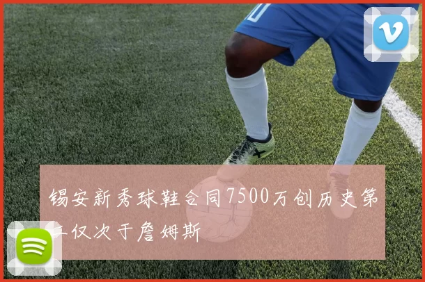 锡安新秀球鞋合同7500万创历史第二仅次于詹姆斯